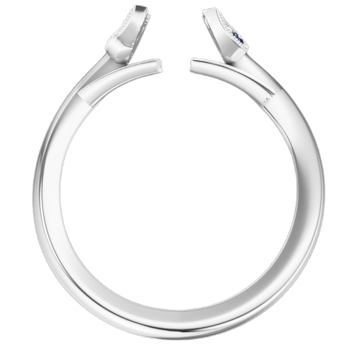 Curved Band with Petals