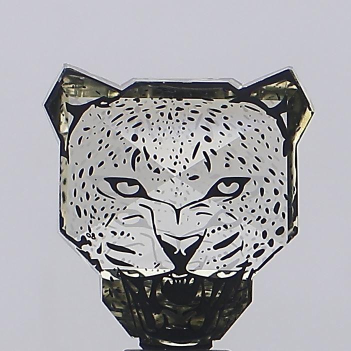 10.26ct Other Fancy Light Yellow VS1